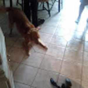 Meet your Posher, Mark